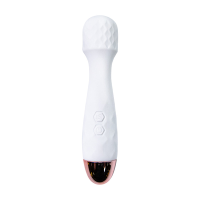 Food Grade Silicone Wand Vibrator Medium Wand Vibrator IPX5 Waterproof  DF039